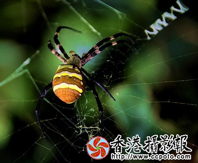 DSC_6562za_调整大小.jpg