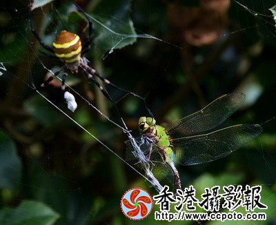 DSC_6503za_调整大小.jpg