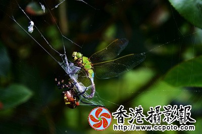 DSC_6511za_调整大小.jpg