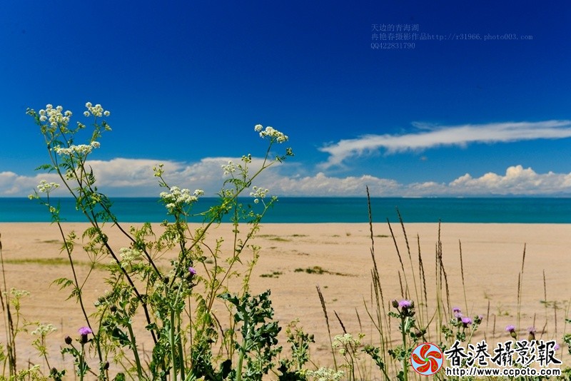 _DSC2363_副本.jpg