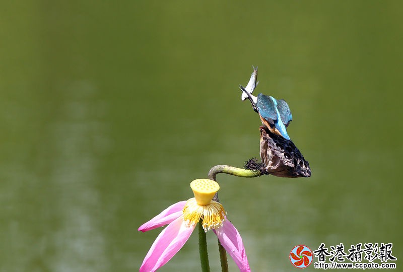 H46R3054_副本.jpg
