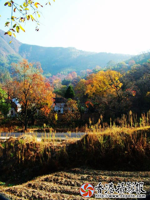 2003_0628图像0038.2.jpg
