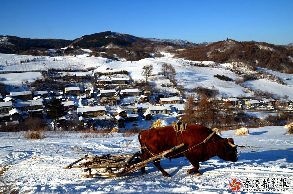 DSC_1512_牛爬犁.jpg