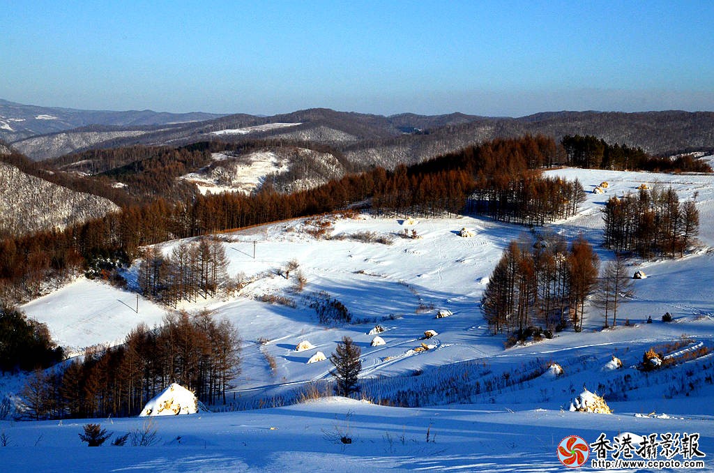 DSC_1594_山雪.jpg