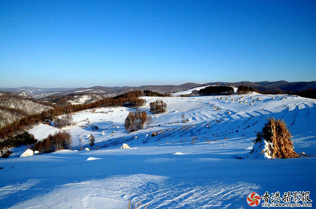 DSC_1600_雪山.jpg