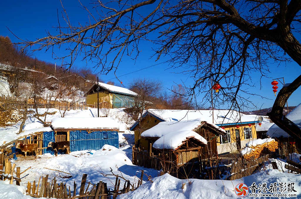 DSC_2088_牛圈.jpg