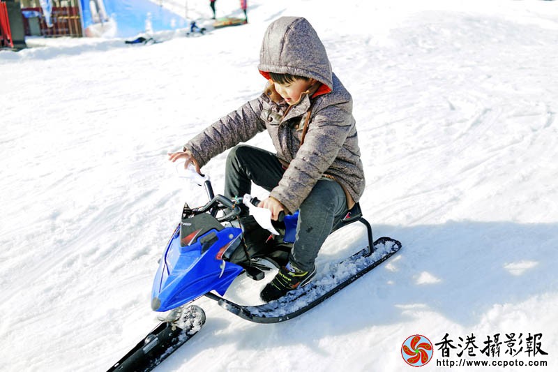 雪地上的玩耍2..jpg