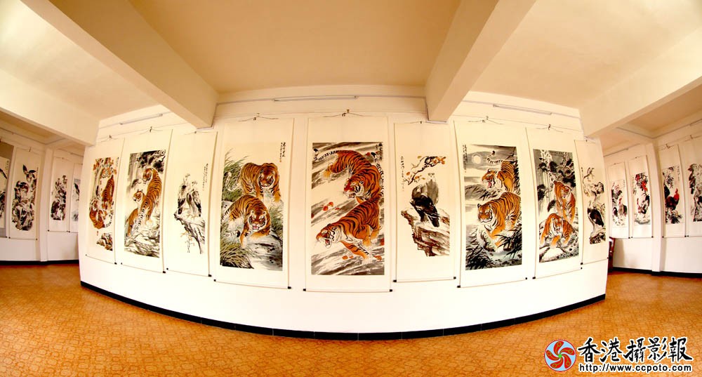 展厅一角.JPG
