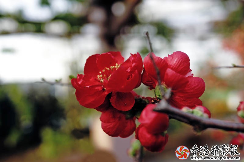 临沂国际花木城采风48..jpg