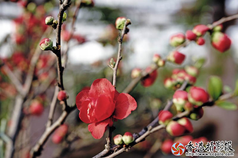 临沂国际花木城采风49..jpg