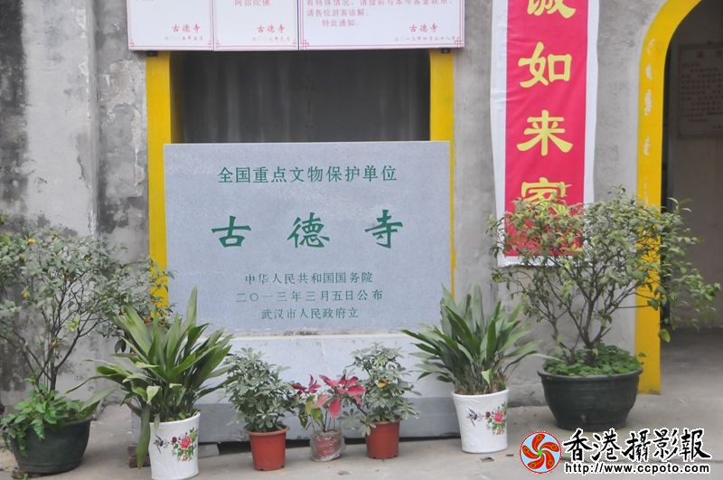 _DSC0430_副本_副本.jpg