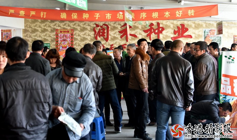 人群涌动