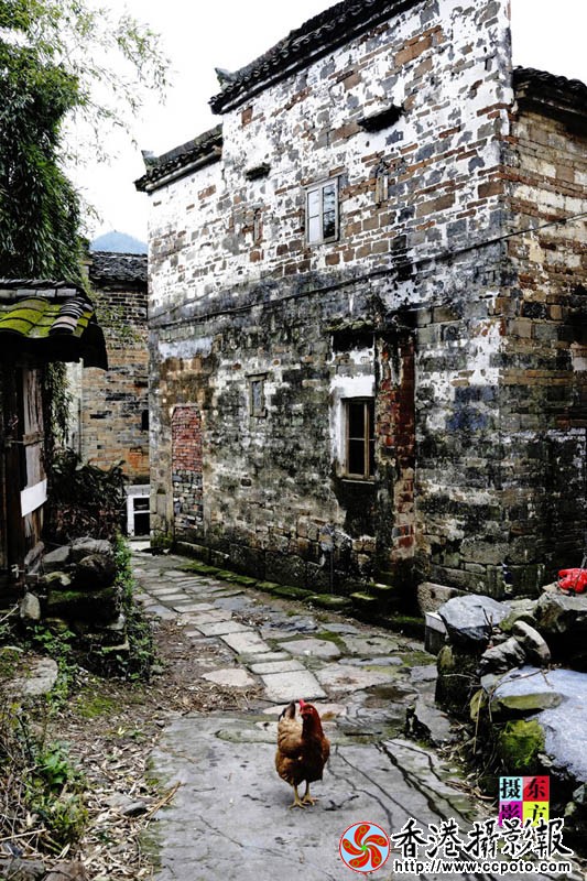 雨后的婺源西岸老屋1..jpg