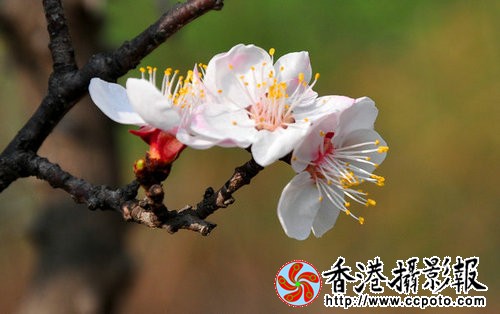 DSC_0304_副本.jpg