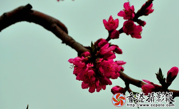 DSC_0640_副本1.jpg