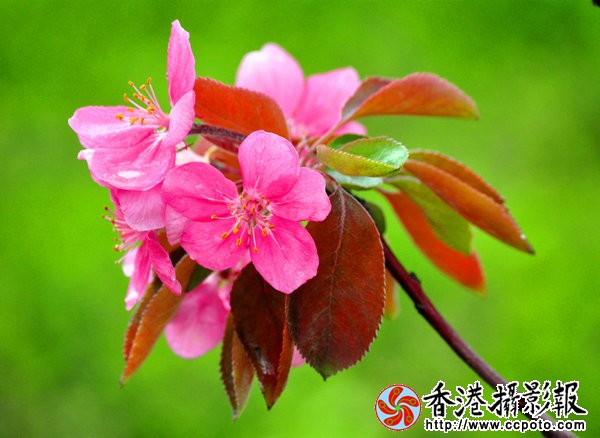 DSC_0137_副本.jpg