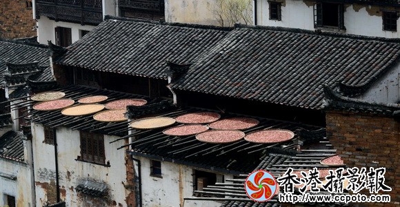 4_调整大小.jpg