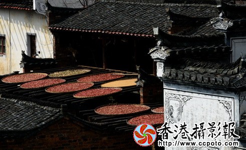 6_调整大小.JPG