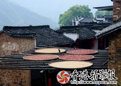 7_调整大小.jpg