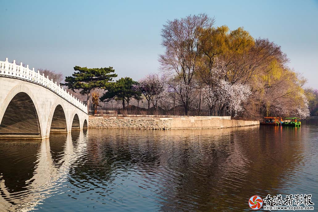 _MG_8160春桃卧波情人岛.jpg