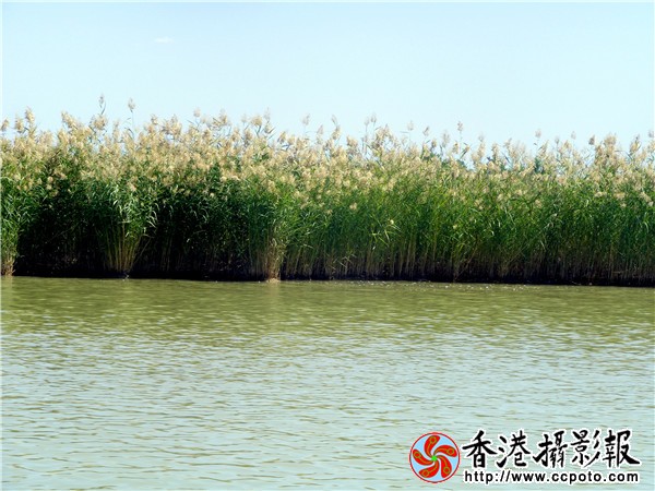 DSCF6714.jpg