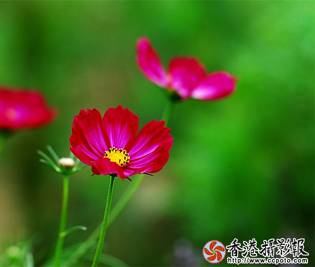 DSC_0006_副本.jpg