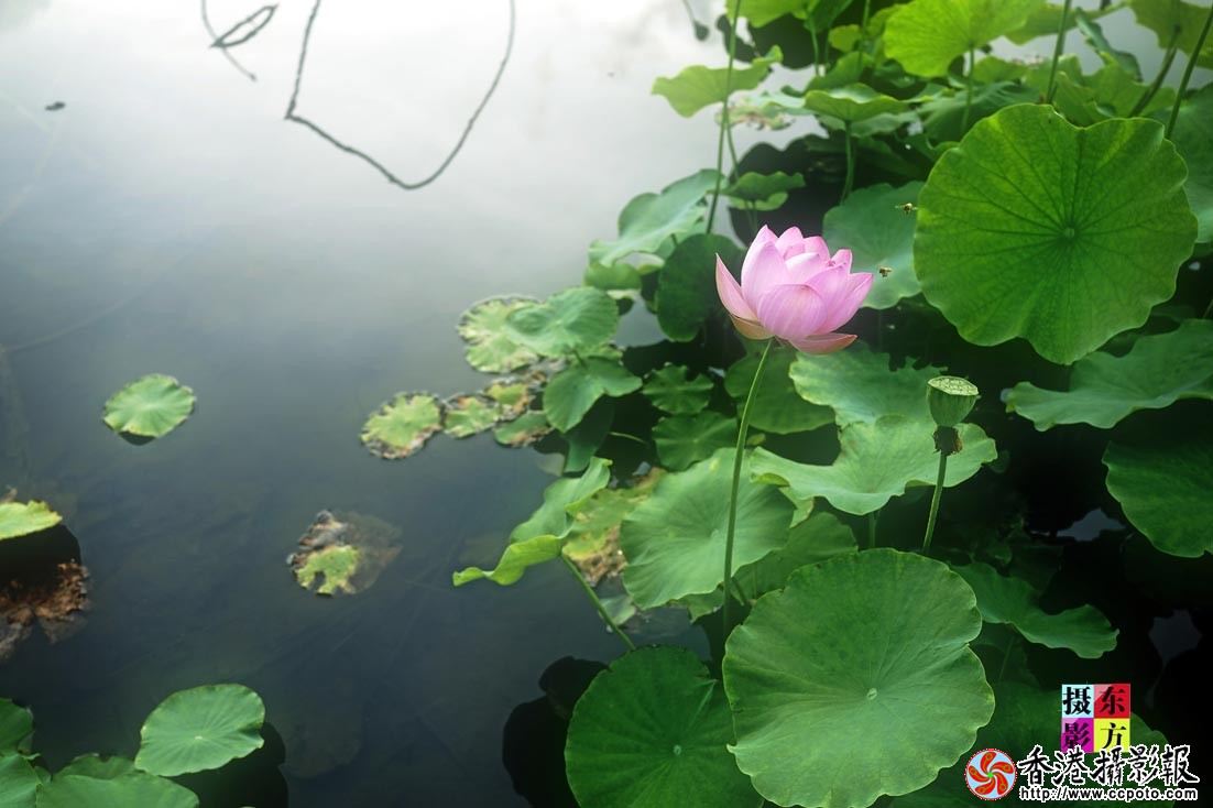 沐浴晨光2..jpg