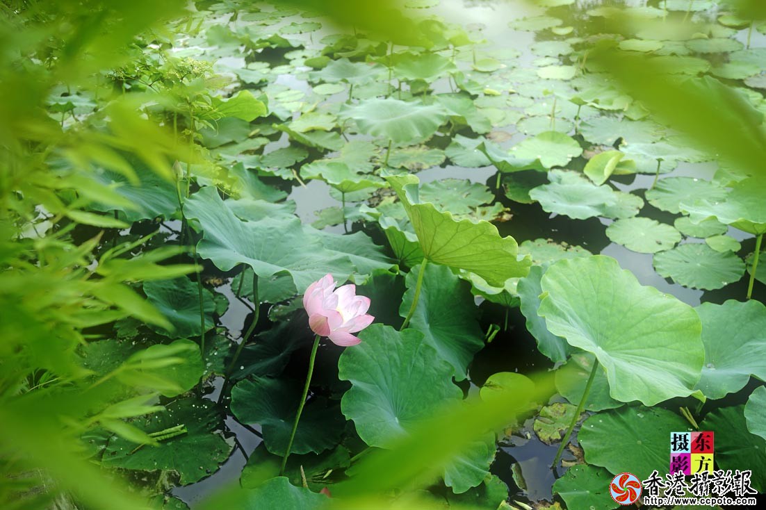 沐浴晨光3..jpg