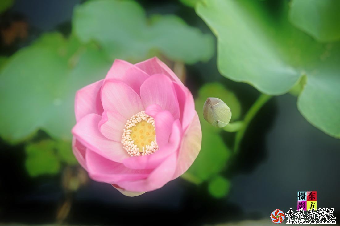 沐浴晨光14..jpg