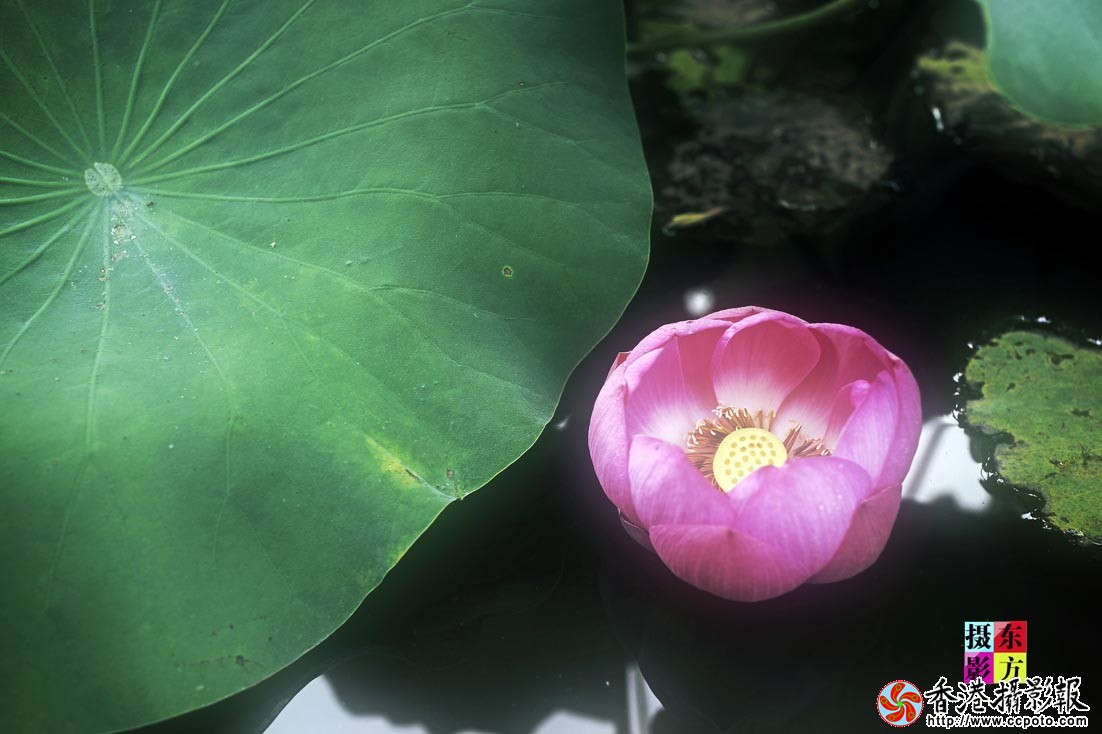 沐浴晨光15..jpg