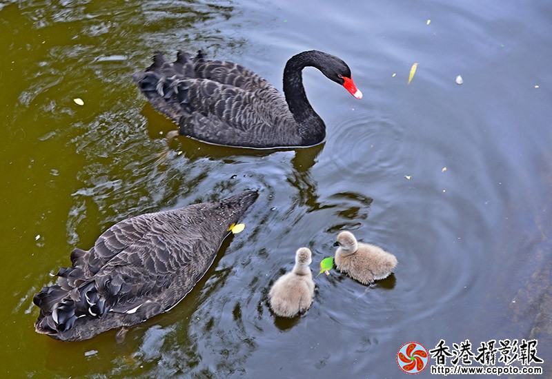 DSC瞧这一家子_6567副本.jpg