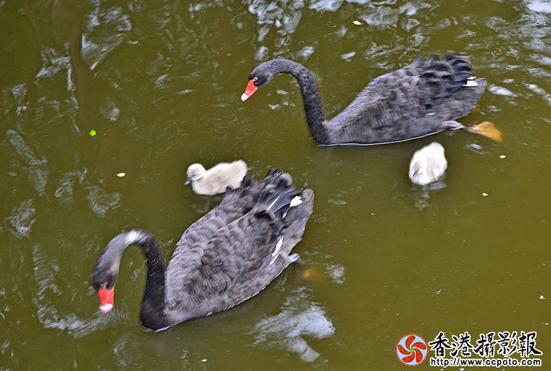 DSC瞧这一家子_6598副本.jpg