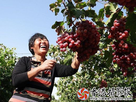 丰收喜悦