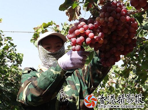 一丝不苟