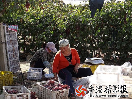 分类装框