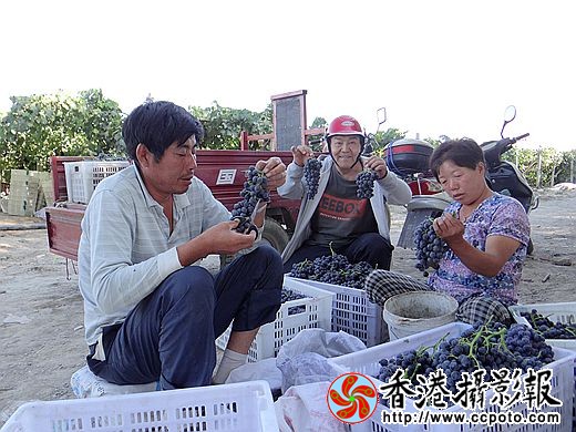 分类装框