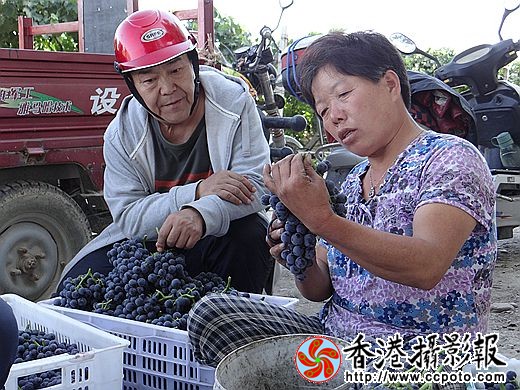 分类装框