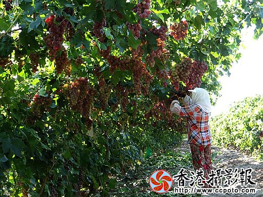 去掉差果确保质量
