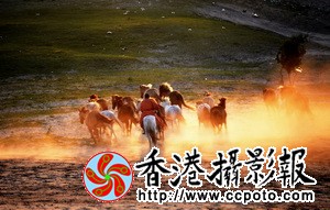DSC_1715za_调整大小.jpg