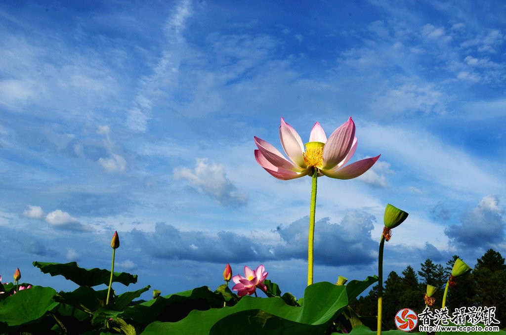 DSC_8885_云海.jpg