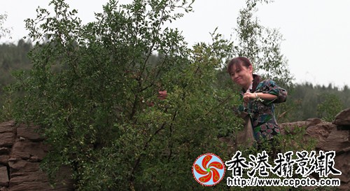 img_1658_副本.jpg