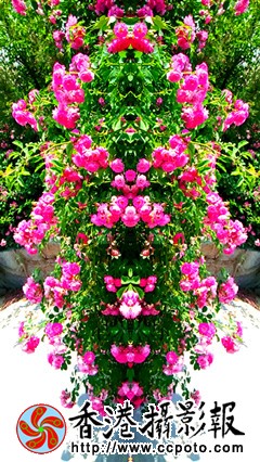 IMG_20150516_113312_副本.jpg