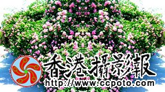 IMG_20150516_113324_副本.jpg