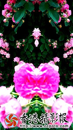 IMG_20150516_113503_副本.jpg