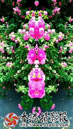 IMG_20150516_114001_副本.jpg