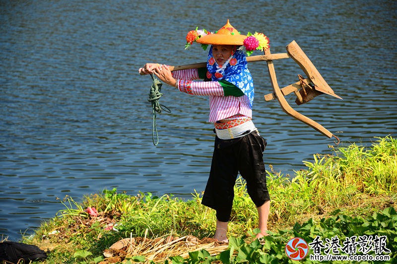 DSC_4333_副本_副本.jpg