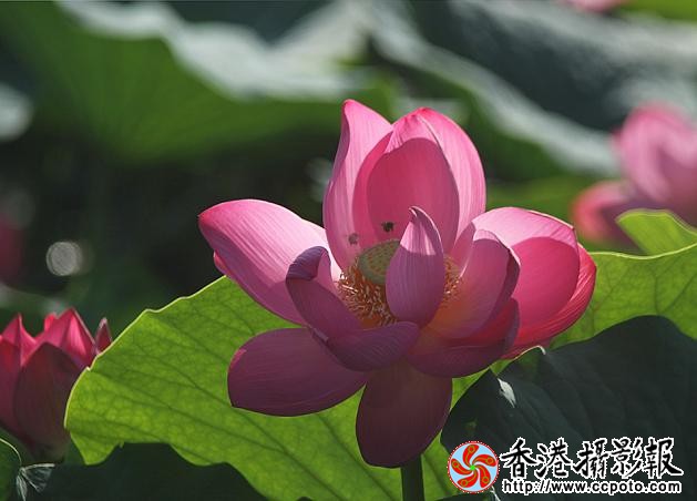 IMG_8275副本.jpg