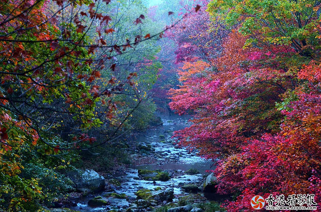 DSC_4852_老边沟溪水枫叶.jpg