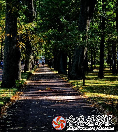 DSC_3731za_调整大小.jpg