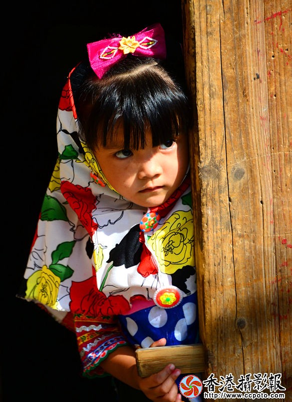 DSC_2949_副本_副本.jpg